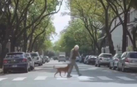 cane con anziano